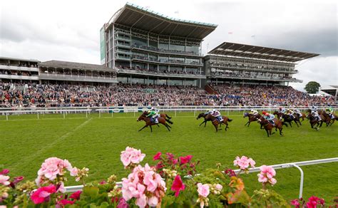 https://baterybet.in/live/horse-racing/|Watch Racing Live .